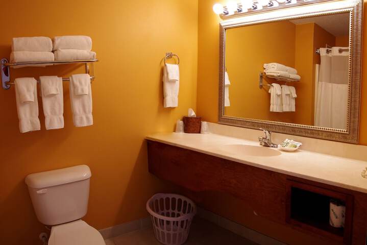1 Bedroom Queen Bed Accessible (7 of 10)