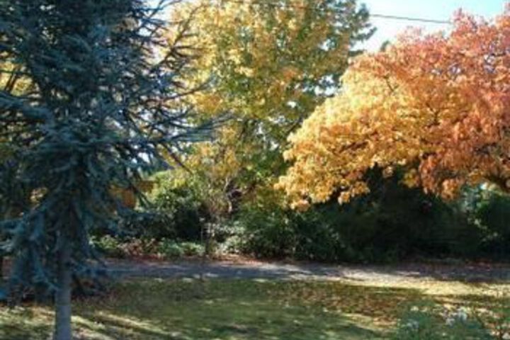 Property Grounds 12 of 12