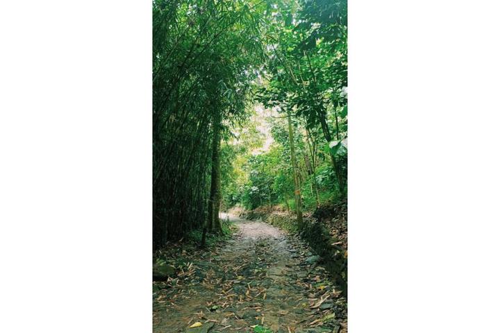 Spa and Wellness Pictures