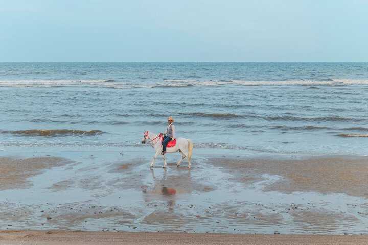 Beach 101 of 110