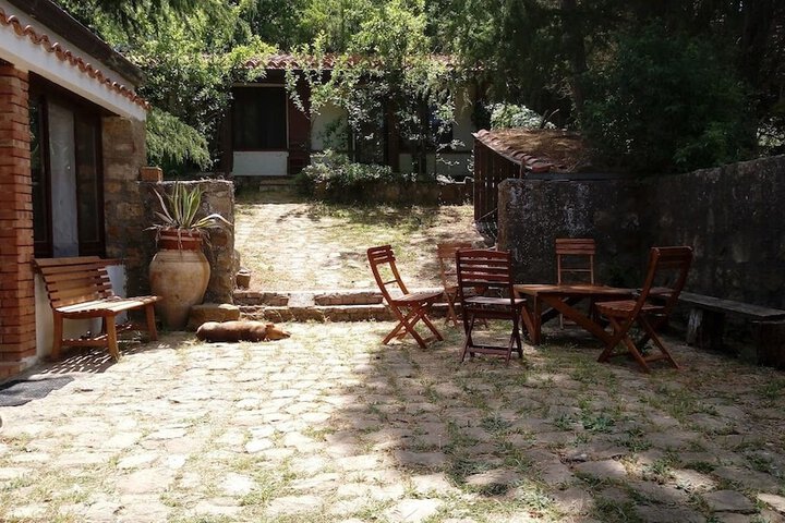 Terrace/Patio 14 of 34