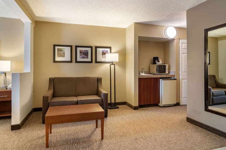 1 King Bed Accessible (11 of 15)