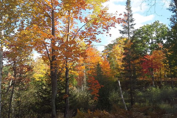 Outdoor Activities 39 of 104