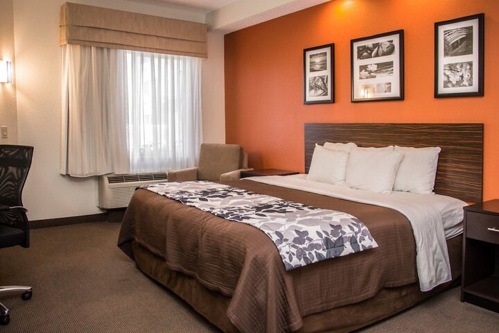 1 King Bed (6 of 9)