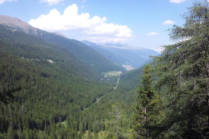 Spa and Wellness Pictures