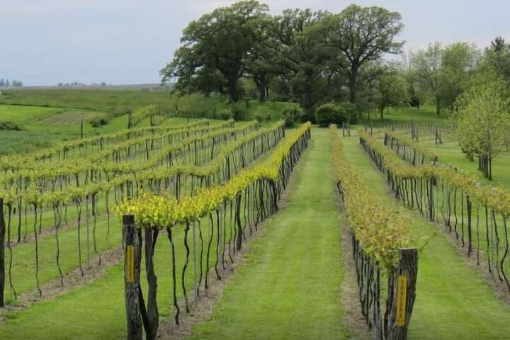Winery