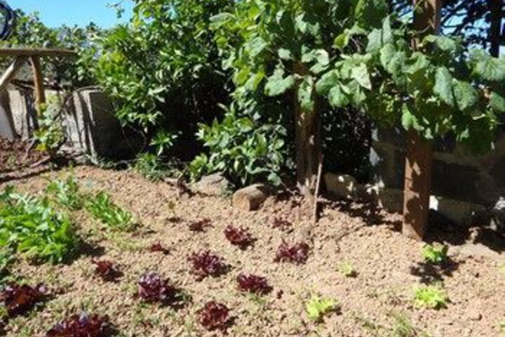 Property Grounds 22 of 28