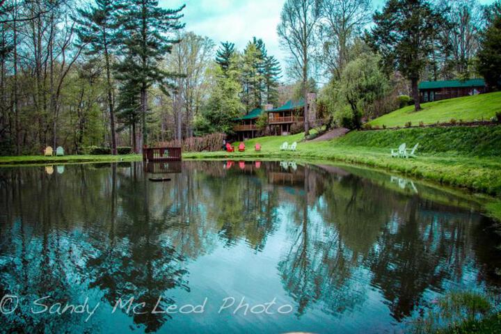 Asheville Cabins of Willow Winds in Asheville, NC