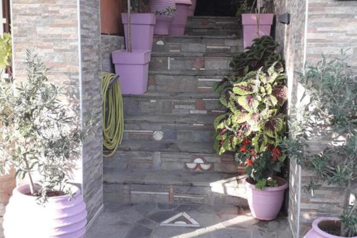Photo 10