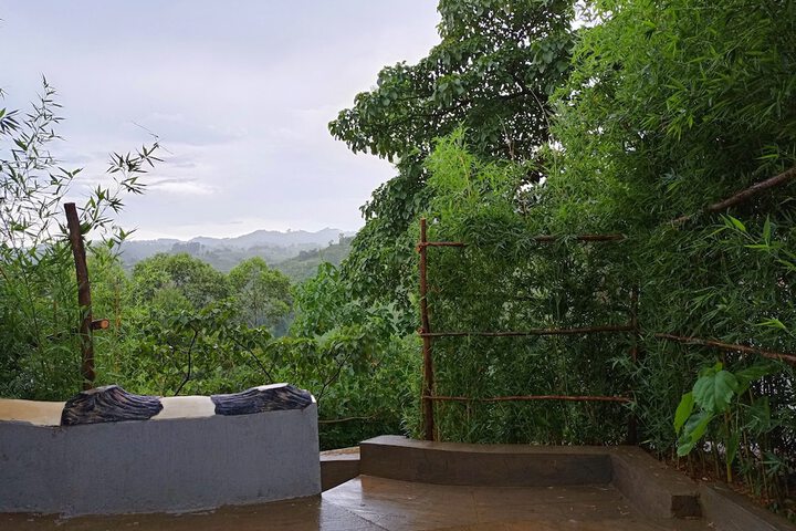 Bwindi My home