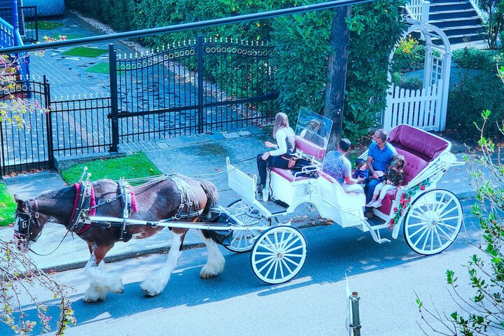 Hotel View 117 of 141