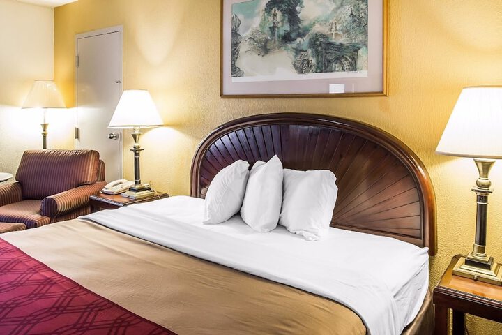 1 King Bed (6 of 9)