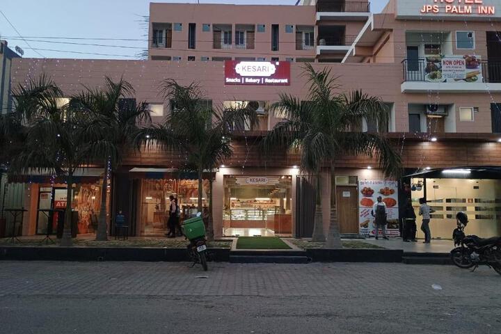 hotel jps palm inn