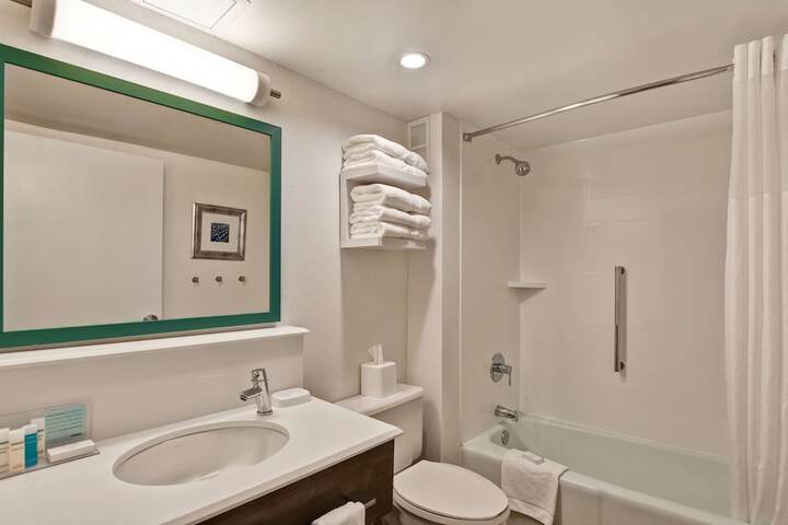 1 King Mobility Hearing Accessible Roll in Shower (8 of 14)