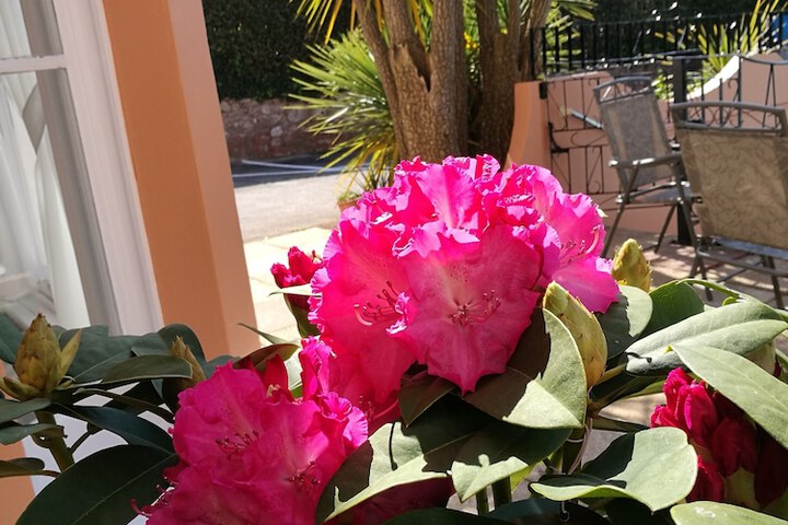 Terrace/Patio 106 of 118