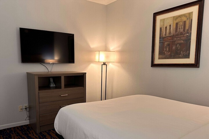 1 King Bed 1 Queen Bed Suite (13 of 19)