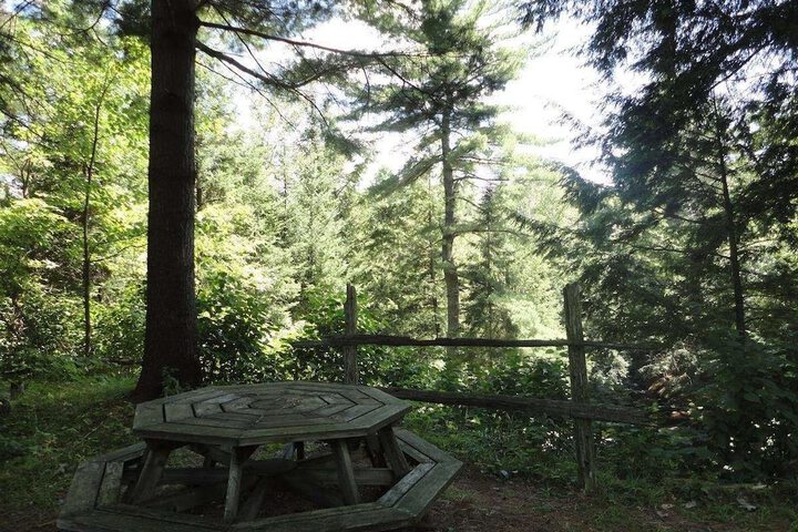 Property Grounds 31 of 57