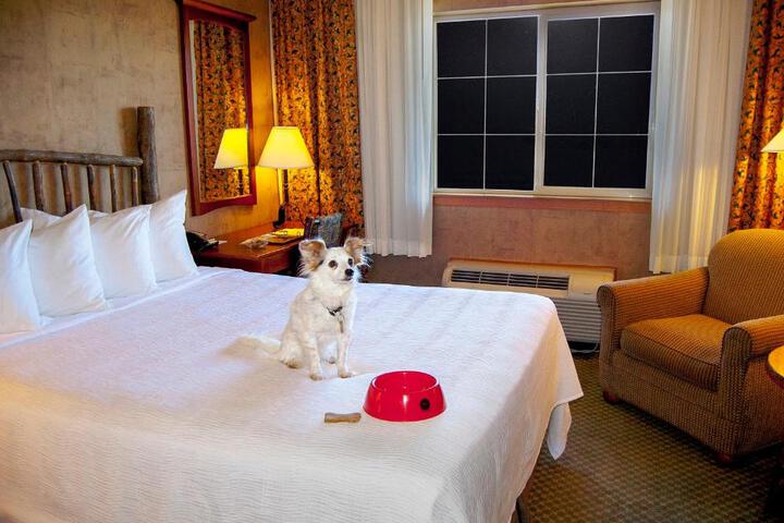 Spa and Wellness Pictures