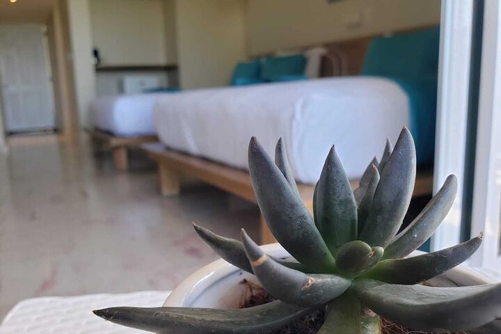 Room 13 of 48
