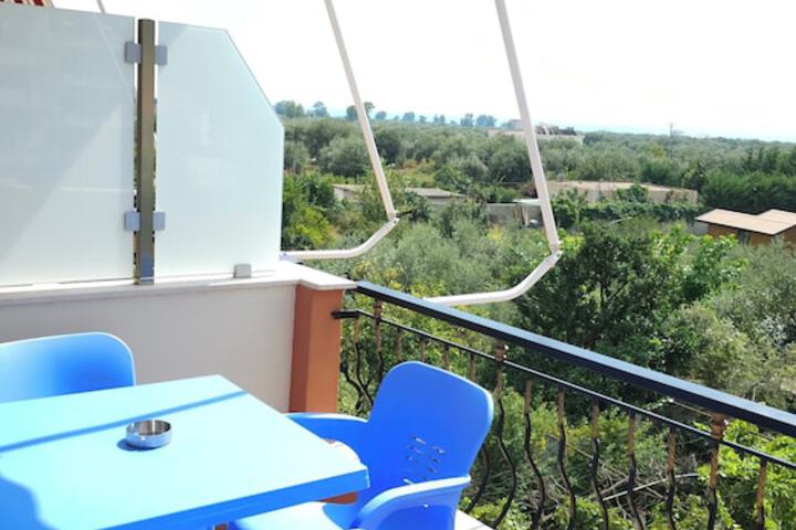 Terrace/Patio 16 of 21