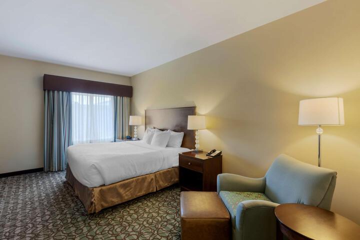 1 King Bed Pet Friendly (14 of 16)