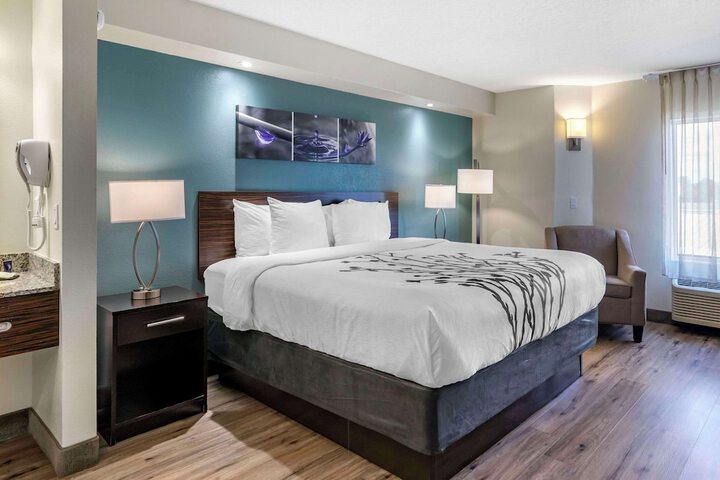 1 King Bed (6 of 10)