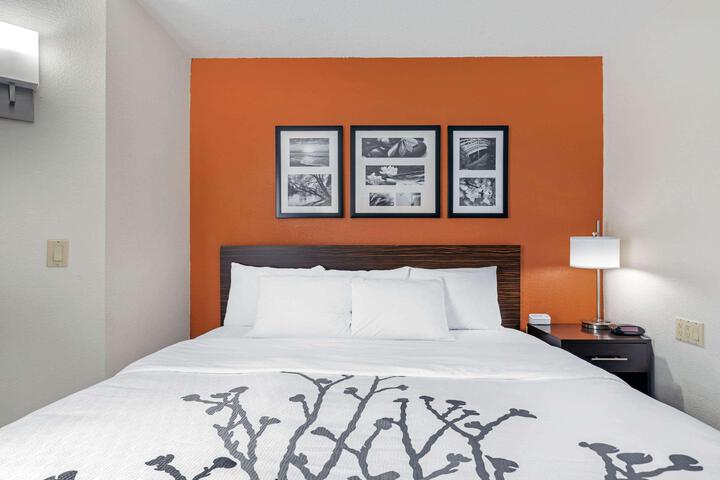 1 King Bed (6 of 10)