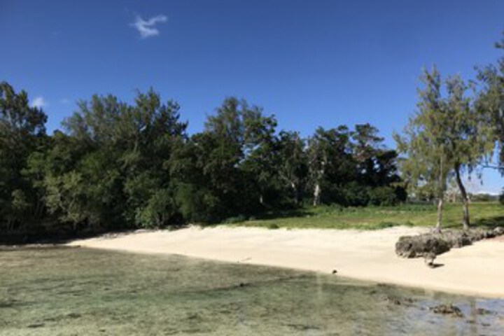 Beach 7 of 23