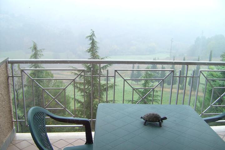 Terrace/Patio 10 of 36