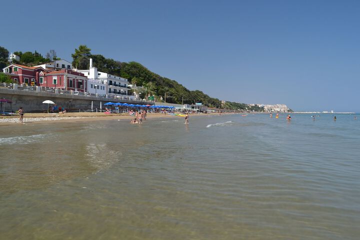 Beach 86 of 100