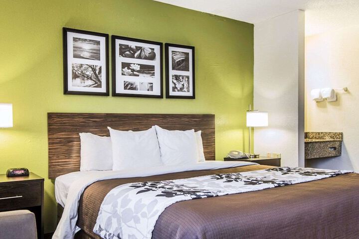 1 King Bed Pet Friendly (1 of 7)