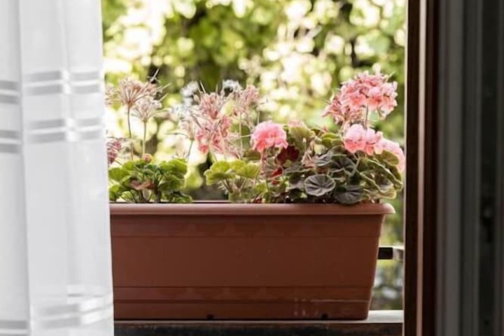 Terrace/Patio 68 of 84
