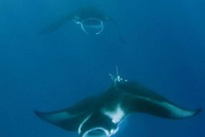 Water Sports 47 of 54