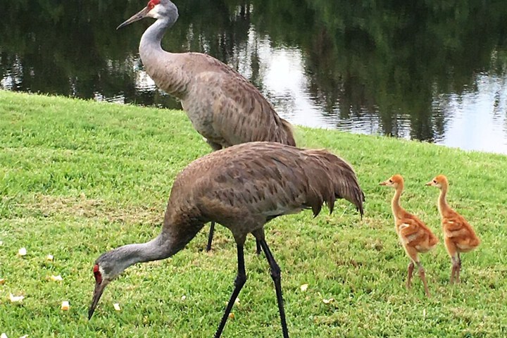 Property Grounds 35 of 41