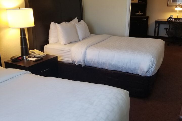 2 Double Beds Accessible (13 of 49)