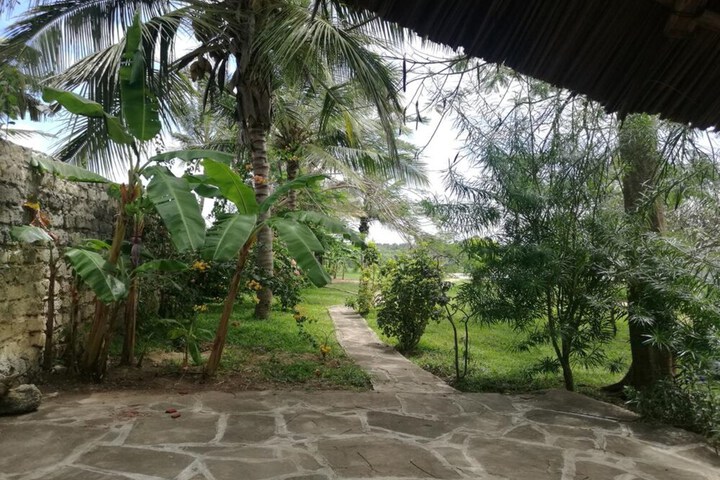 Property Grounds 29 of 34