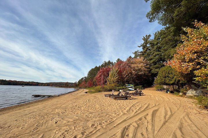 Property Grounds 74 of 83