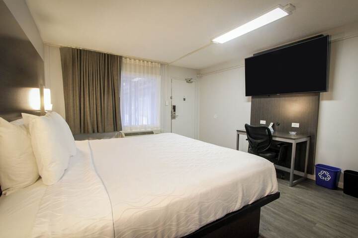 1 King Bed Pet Friendly Accessible (20 of 90)