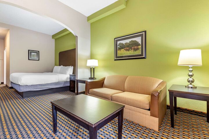 1 King Bed (16 of 19)