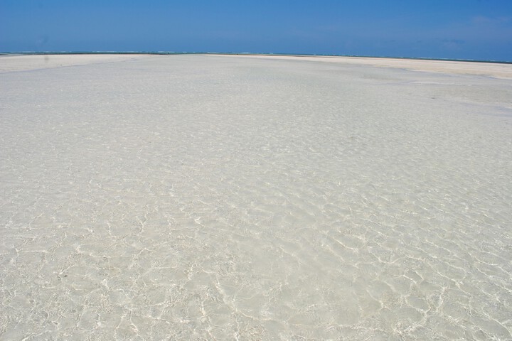 Beach 101 of 140