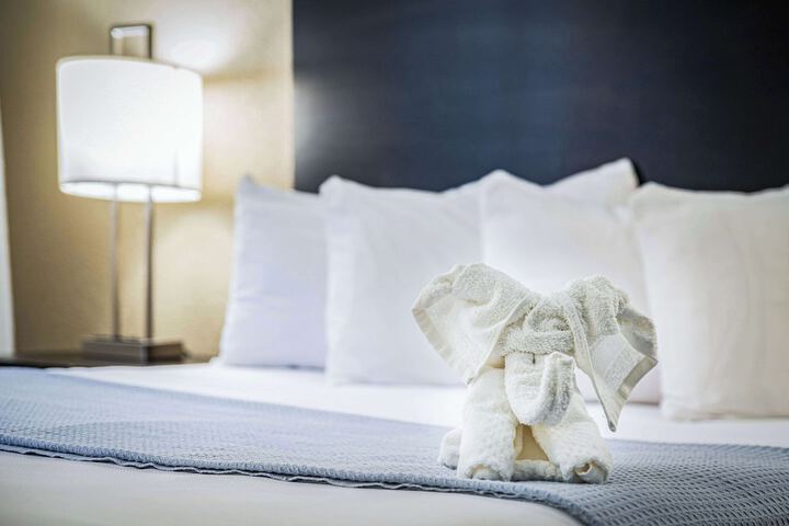 1 King Bed Promotional (8 of 28)