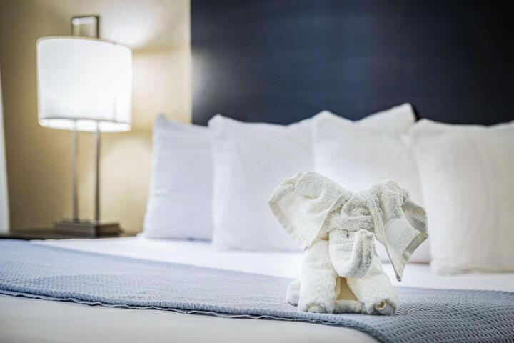 1 King Bed Promotional (10 of 28)