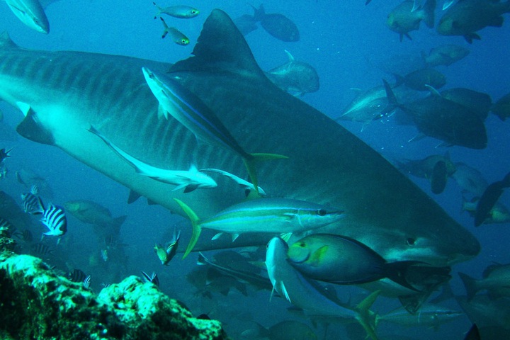 Water Sports 55 of 111