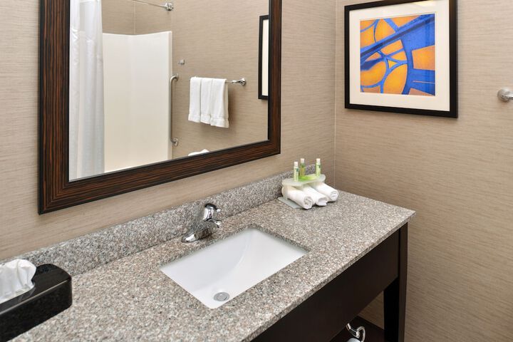 1 King Bed Standard Mobility Accessible Tub (15 of 25)