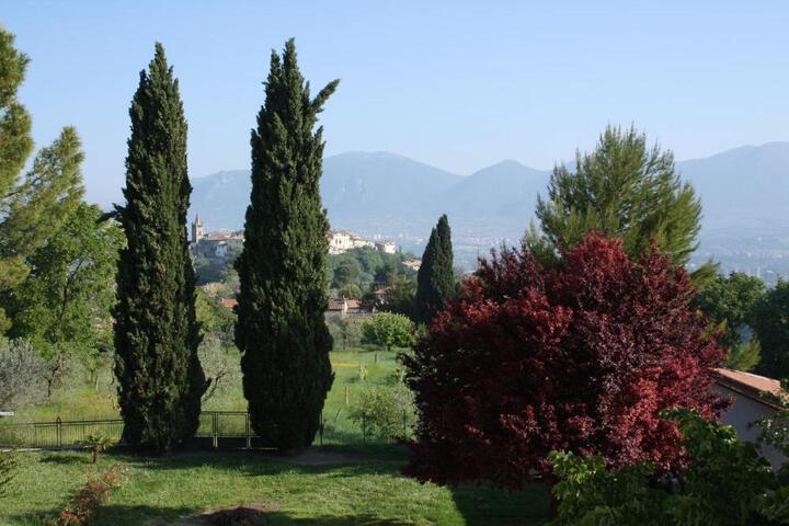 General 37 of 38