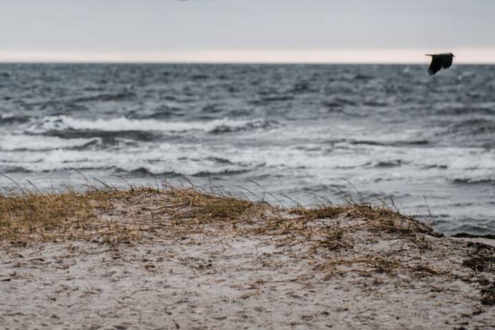 Beach 22 of 29