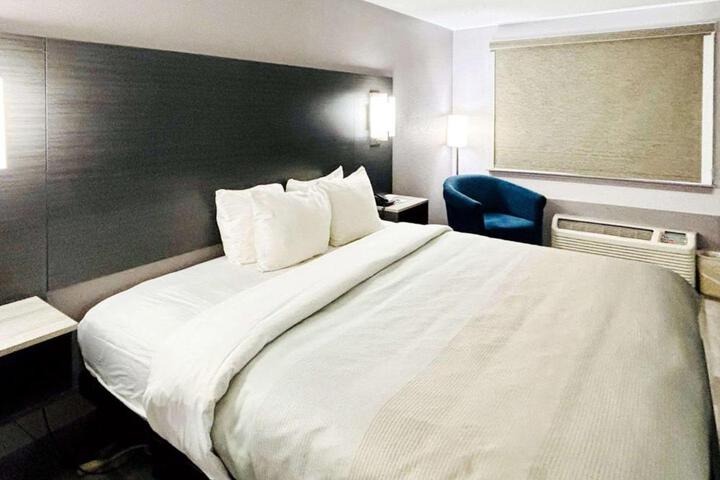 1 King Bed (6 of 11)