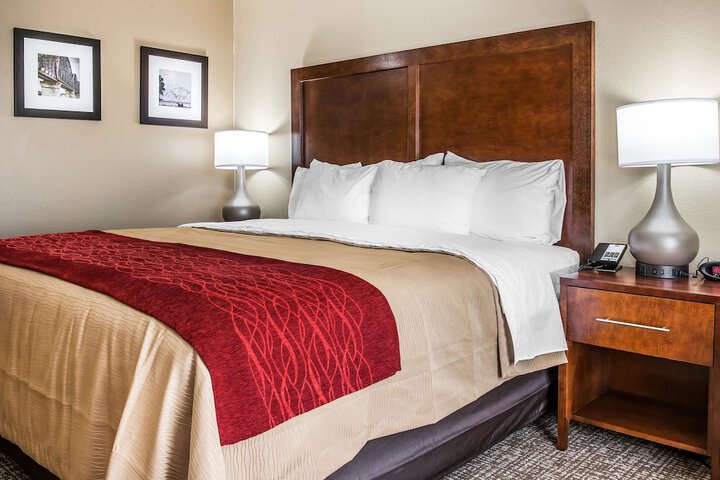 1 King Bed (9 of 9)