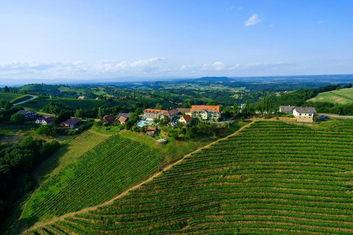 das kappel wein gut hotel