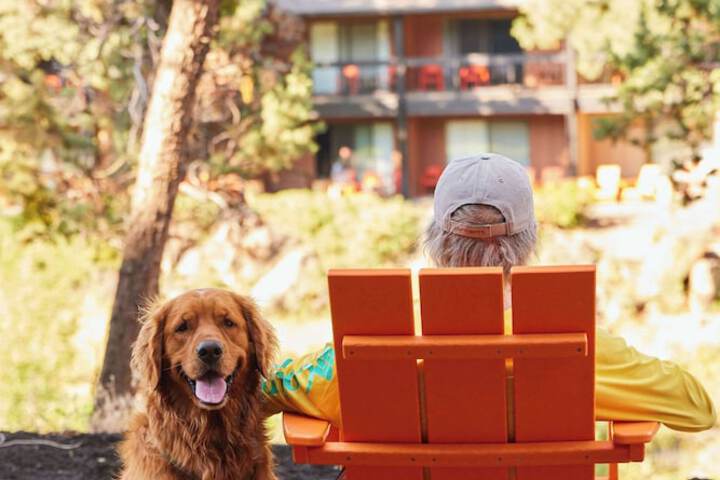 Pet Friendly 73 of 142